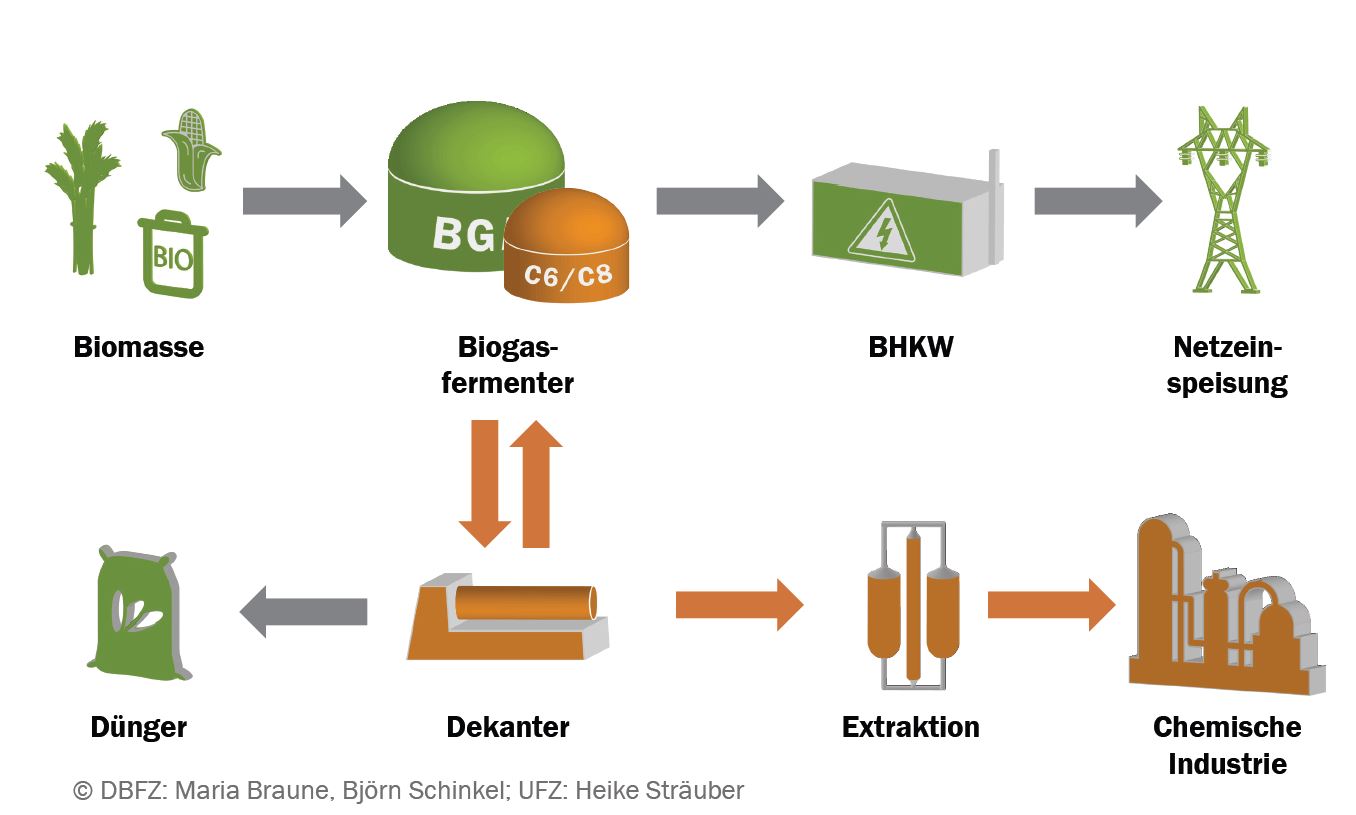 Grafik zum Capraferm&reg; Verfahren
